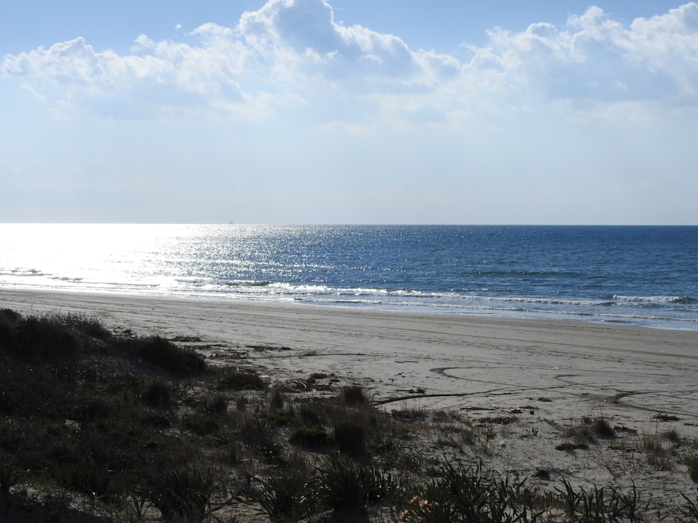 a sandy beach with the ocean in the background