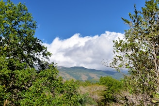 A scenic view of a shooting range surrounded by trees and hills.