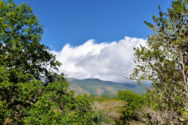 A scenic view of a shooting range surrounded by trees and hills.