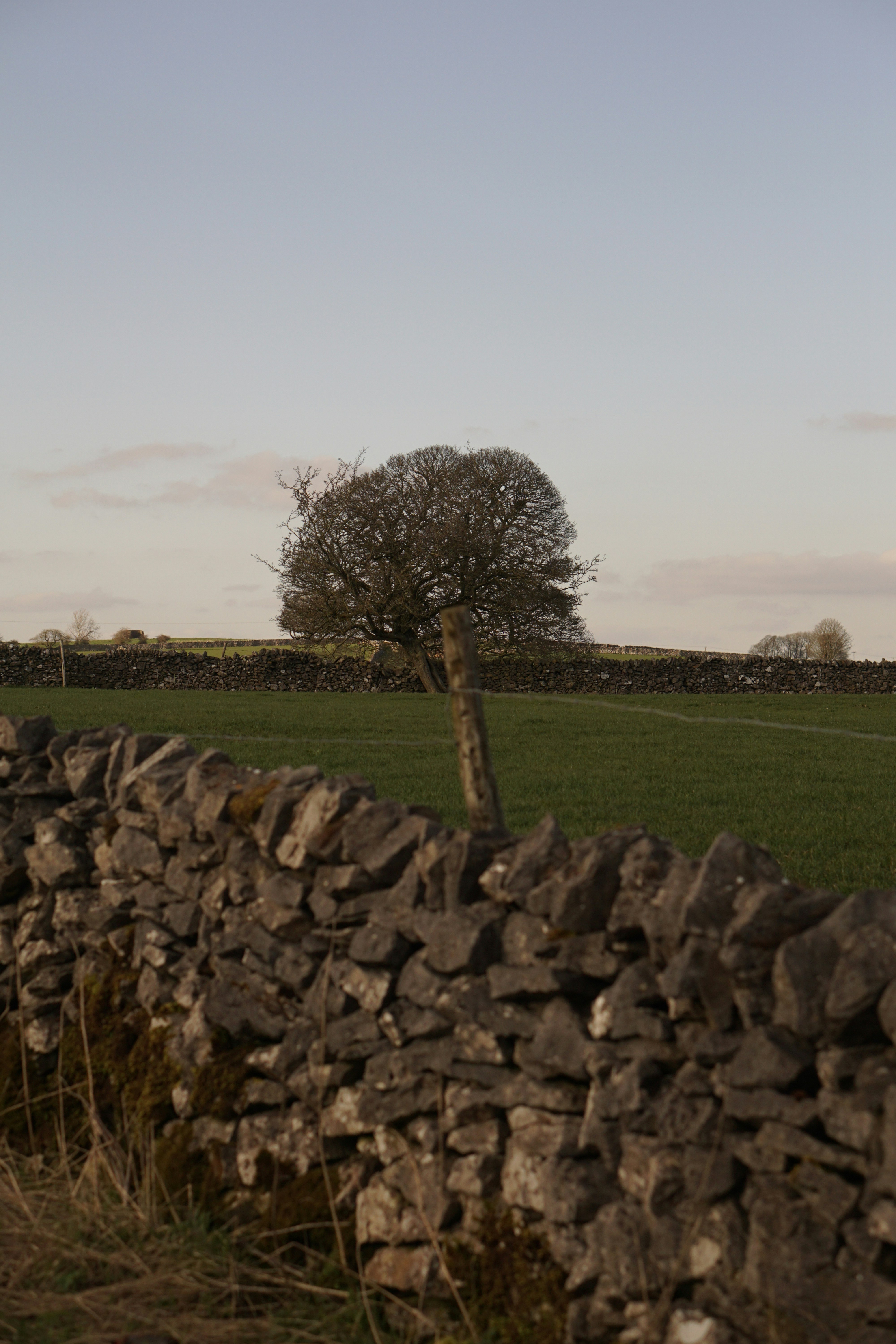 Photo by luca_capron