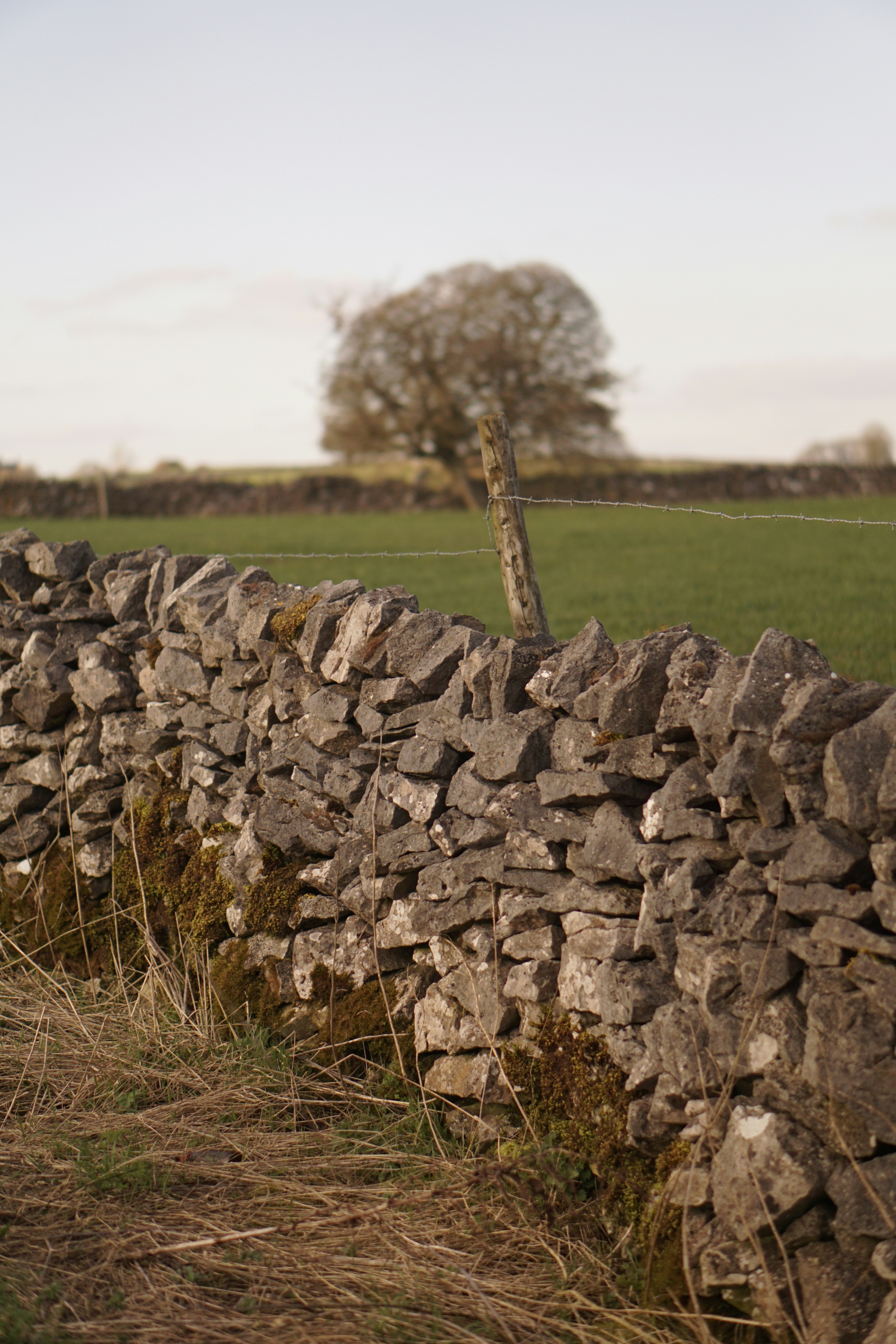 Photo by luca_capron