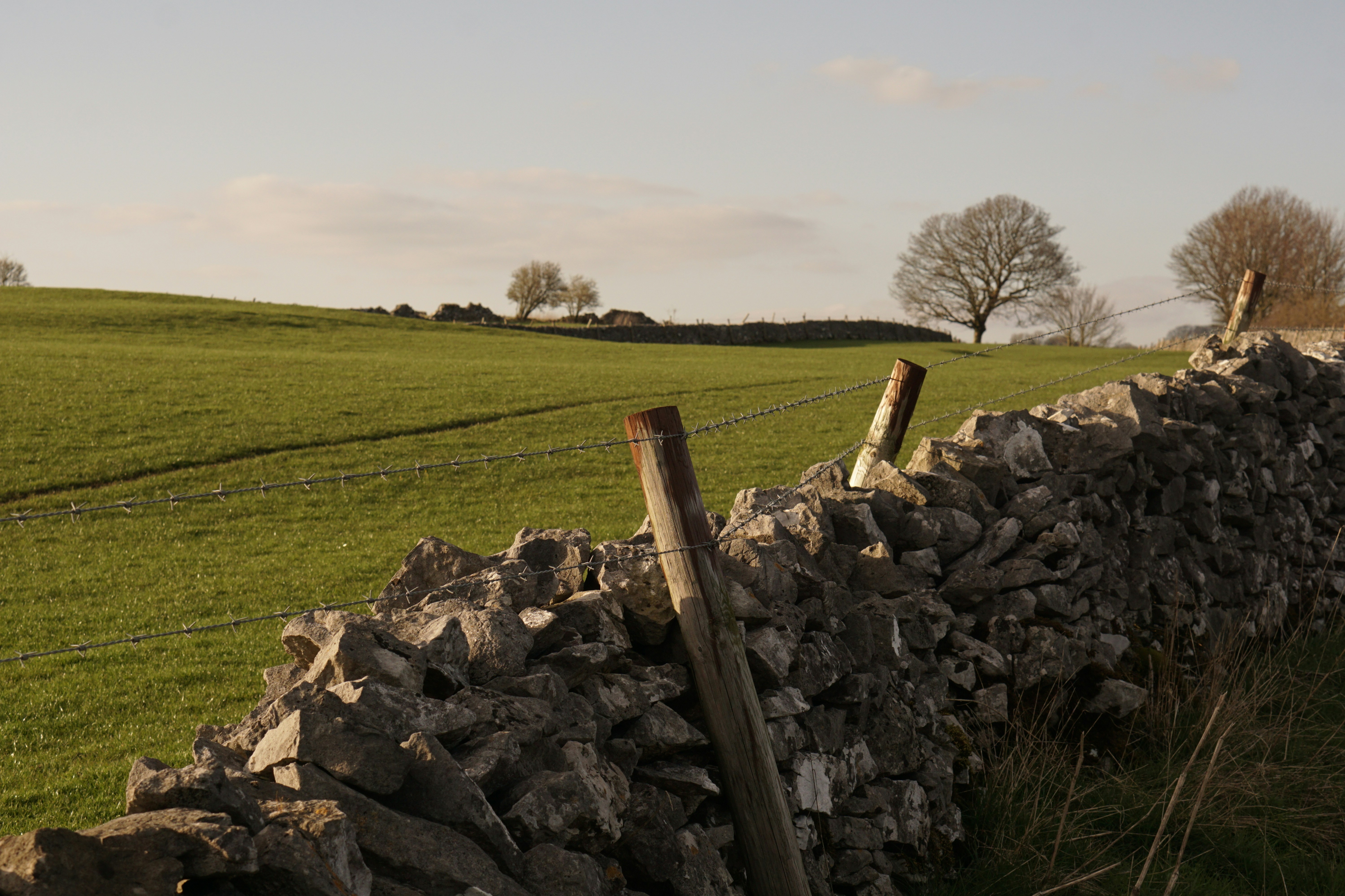 Photo by luca_capron