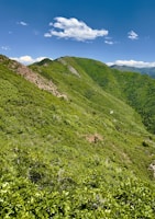 A lush green affordable plot ready for development under a clear blue sky.