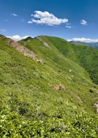 A lush green landscape with rolling hills and blue skies.