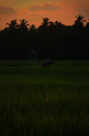 Surveyor using GPS equipment in a lush green field during sunset