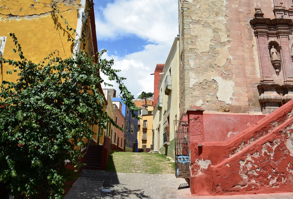 a narrow alleyway with a tree and stairs