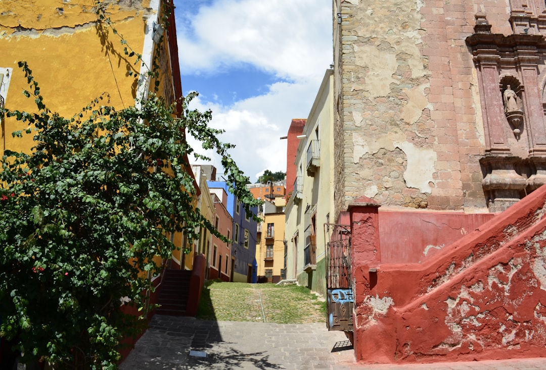a narrow alleyway with a tree and stairs,