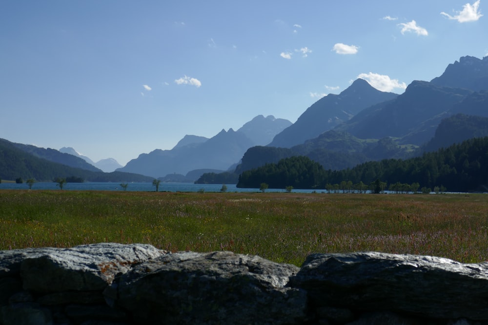 a grassy field with mountains in the background