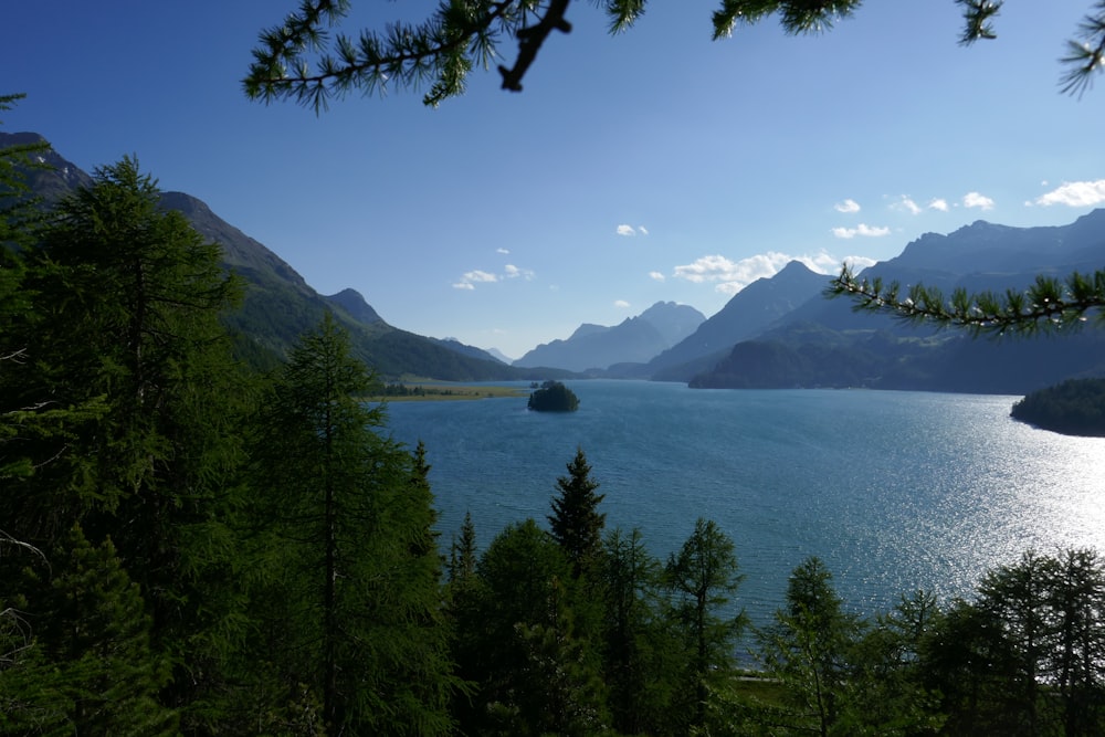 a large body of water surrounded by trees