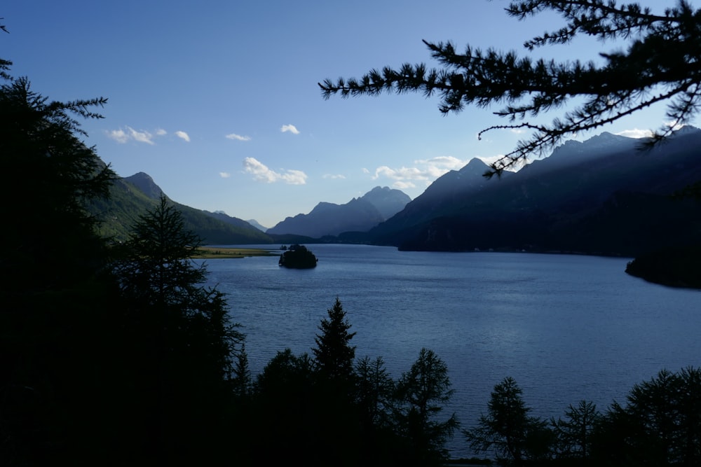 a body of water surrounded by mountains and trees