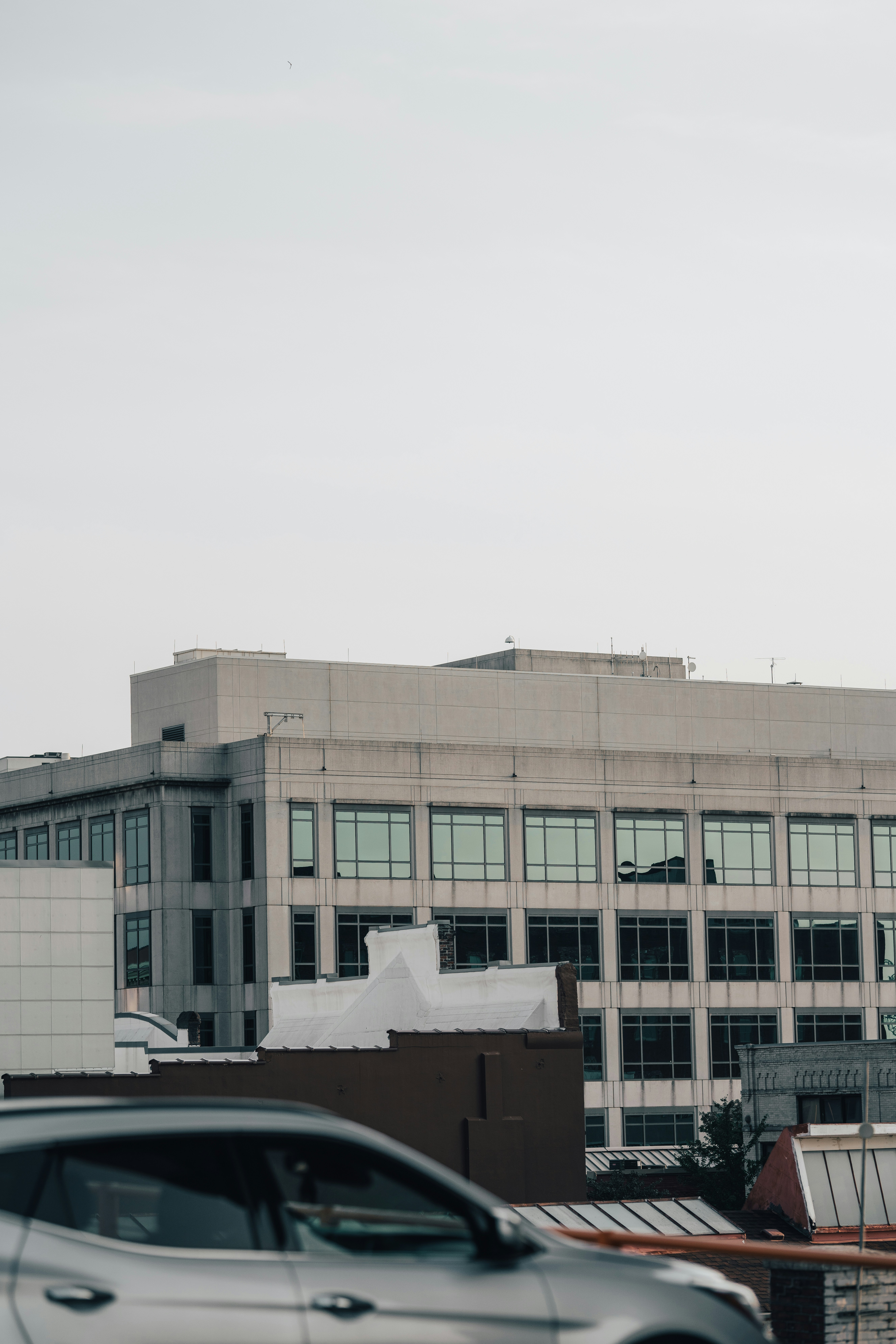 Photo by colemangloverphotography