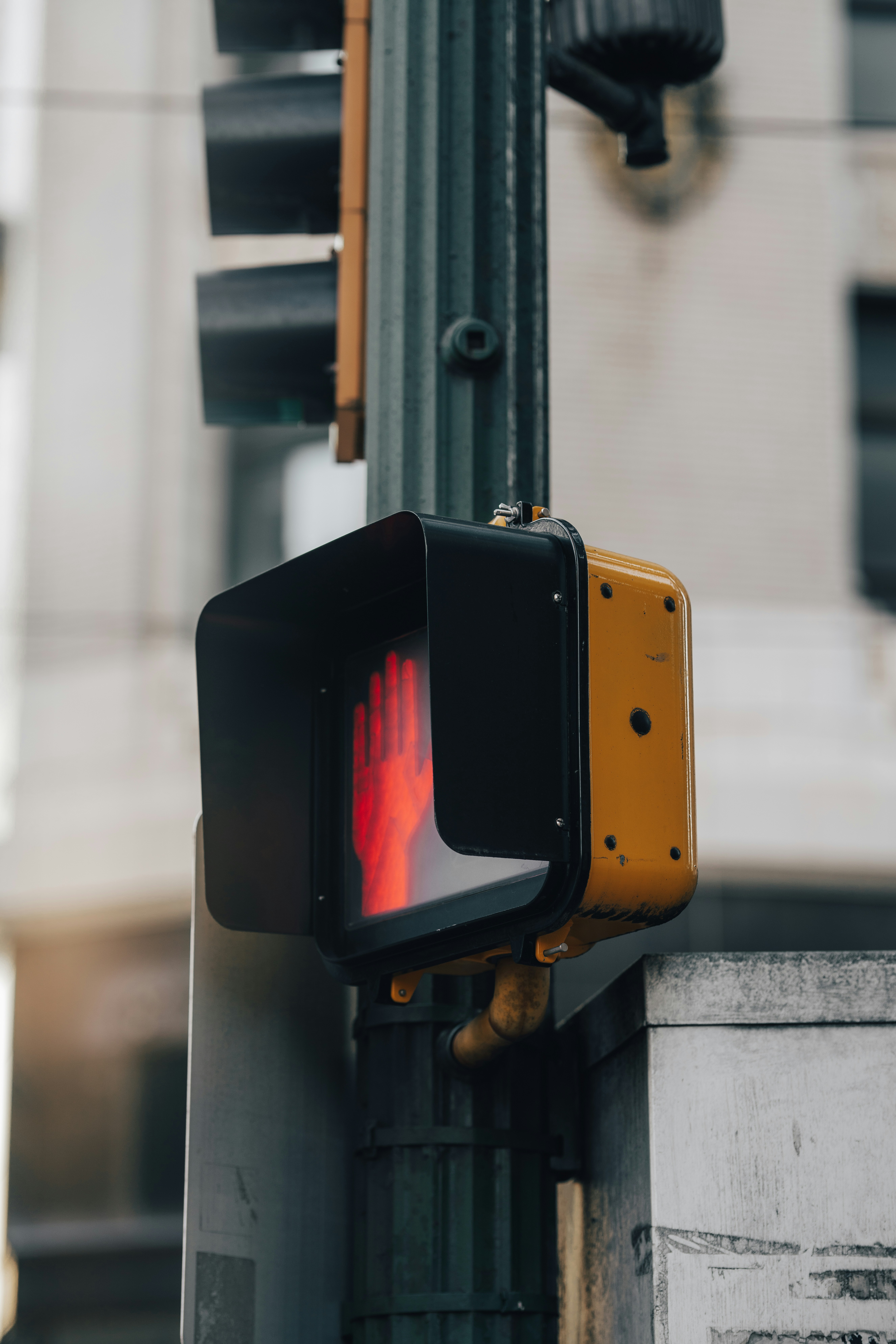 Photo by colemangloverphotography