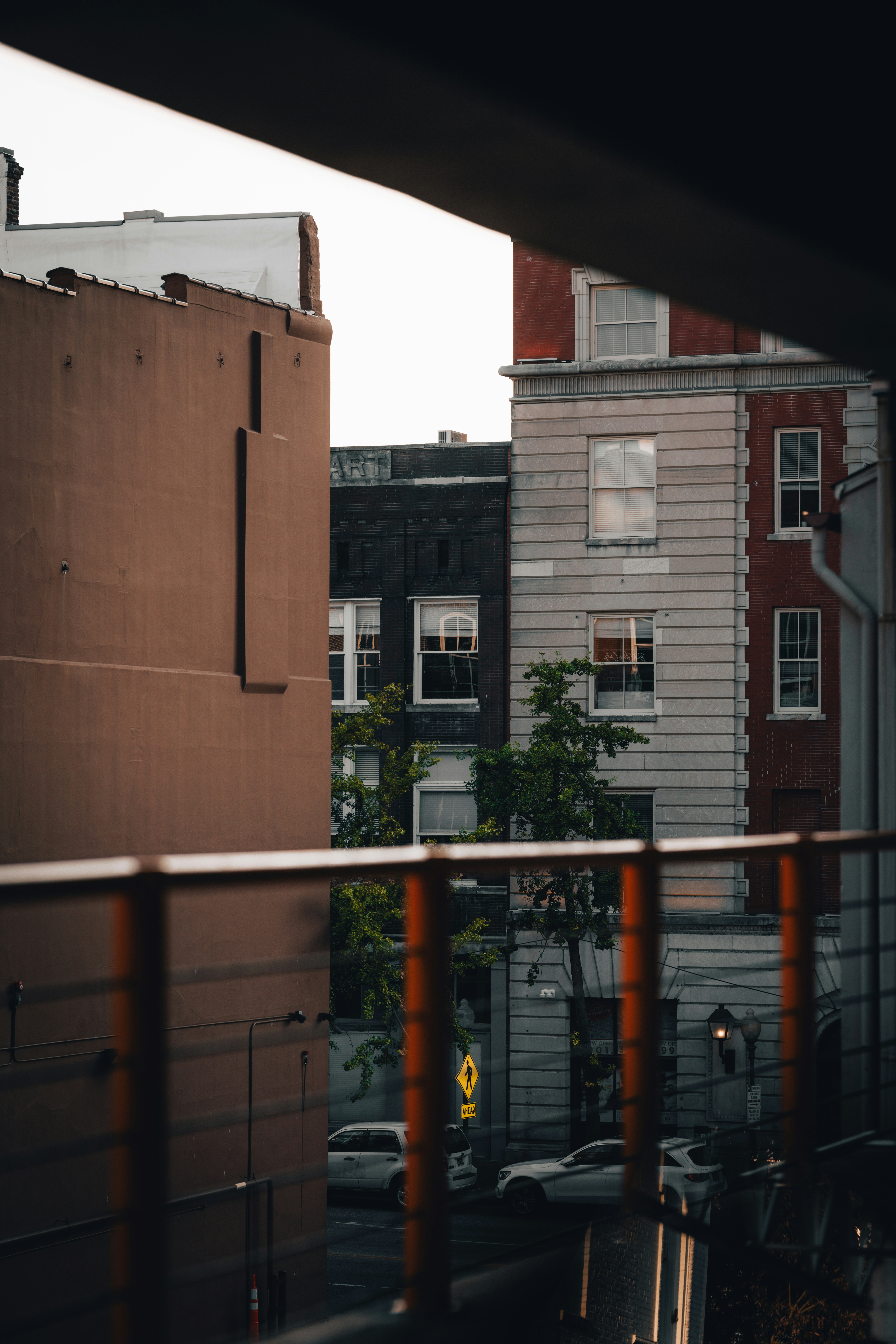 Photo by colemangloverphotography