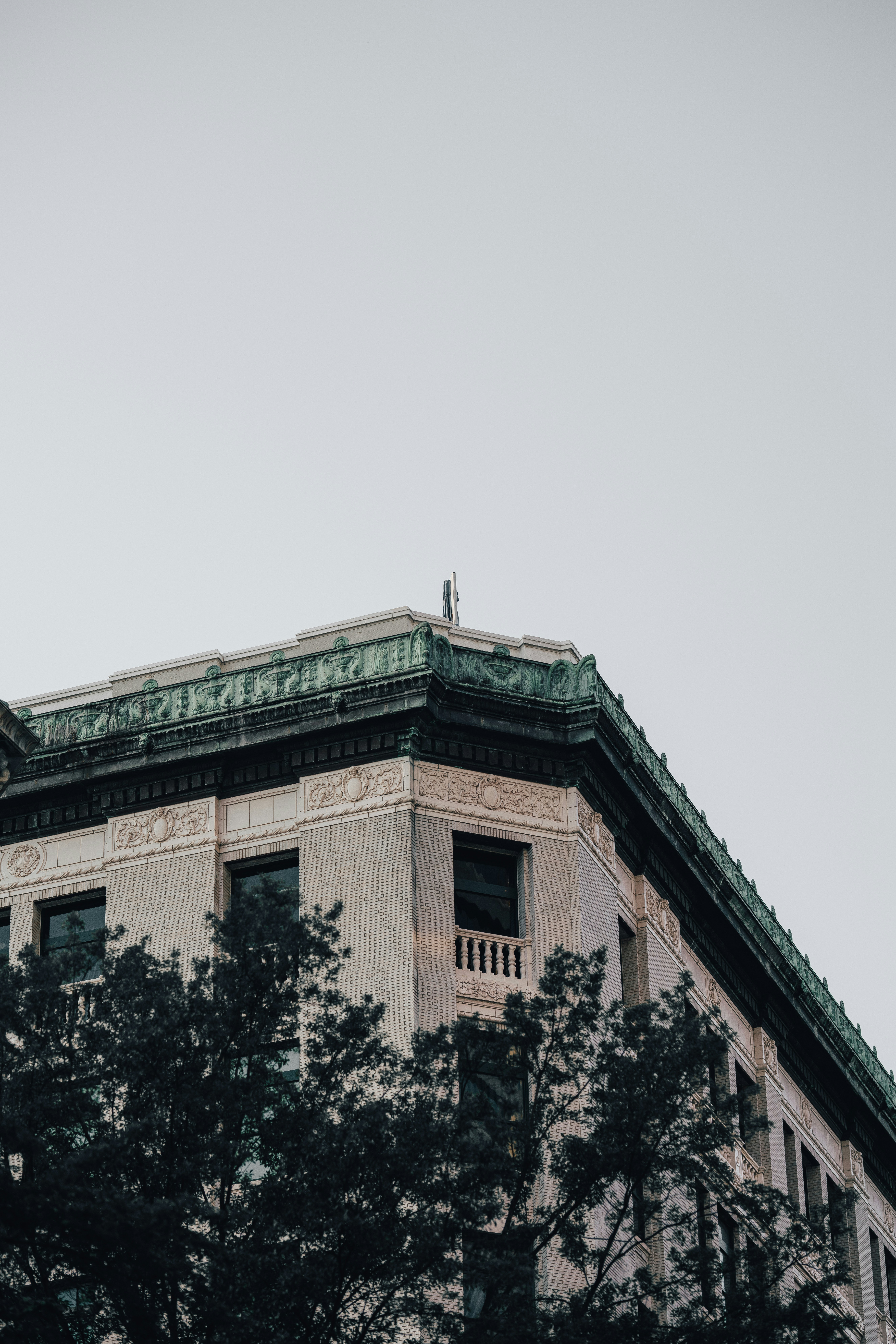 Photo by colemangloverphotography