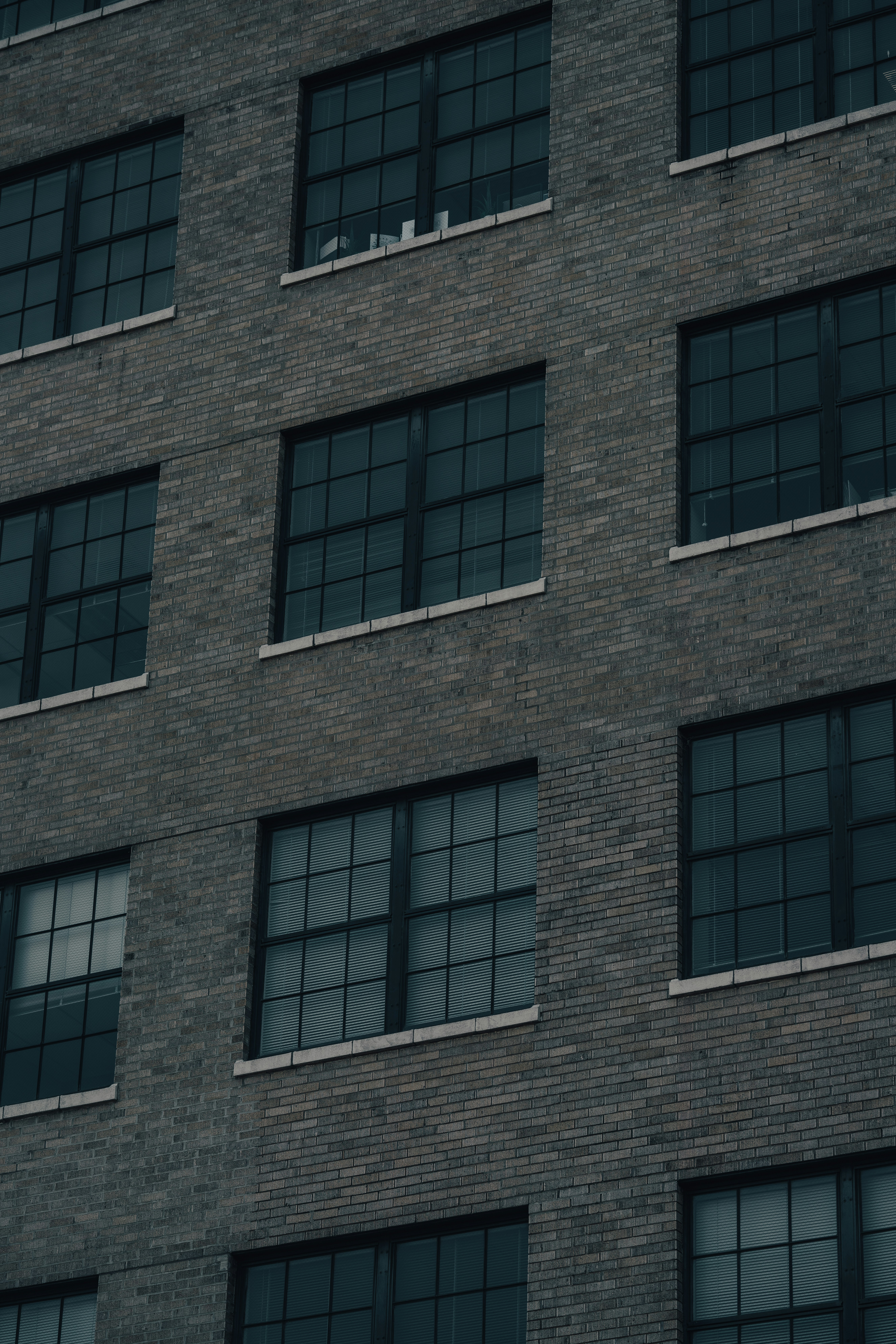 Photo by colemangloverphotography