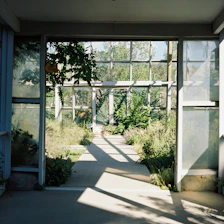 A sleek glass greenhouse bathed in morning sunlight surrounded by lush plants.