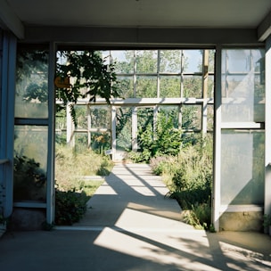 A modern greenhouse with lush plants and natural light streaming through glass panels.