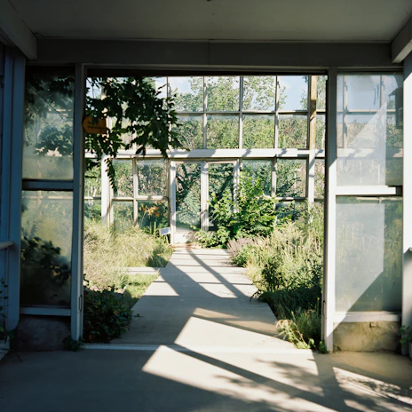 A sleek glass greenhouse bathed in morning sunlight surrounded by lush plants.