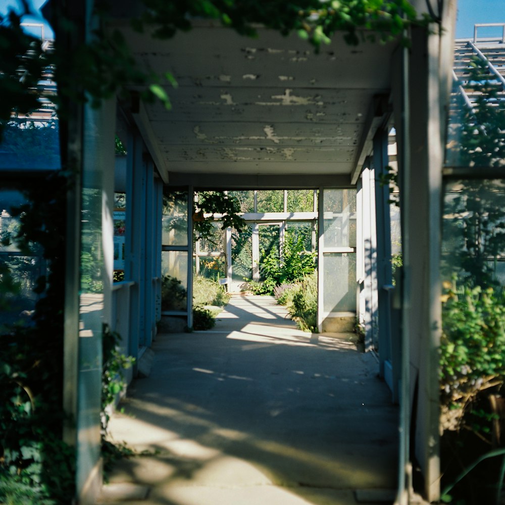 a walkway leading to a greenhouse with plants growing on it