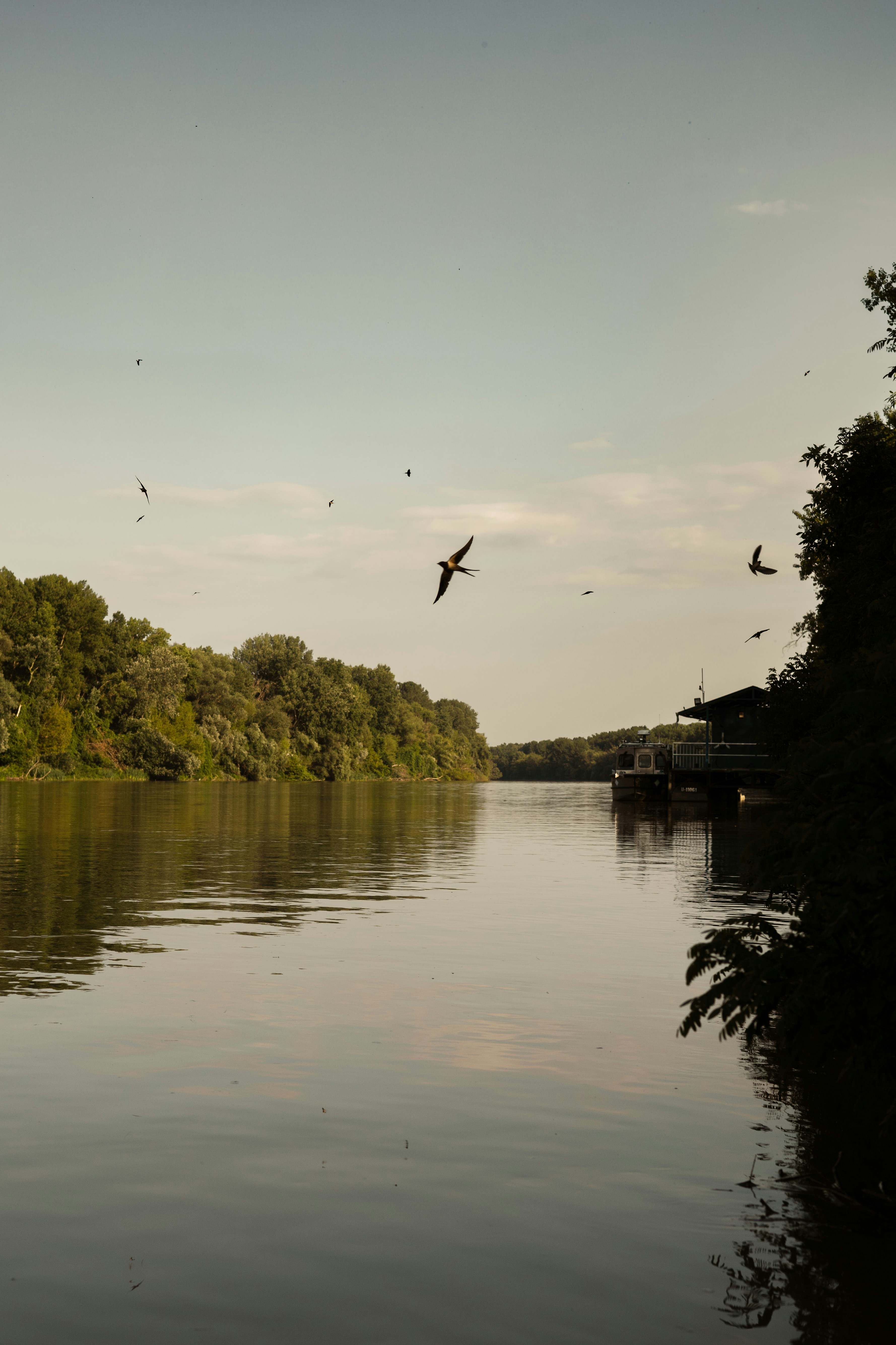 Photo by stachmann