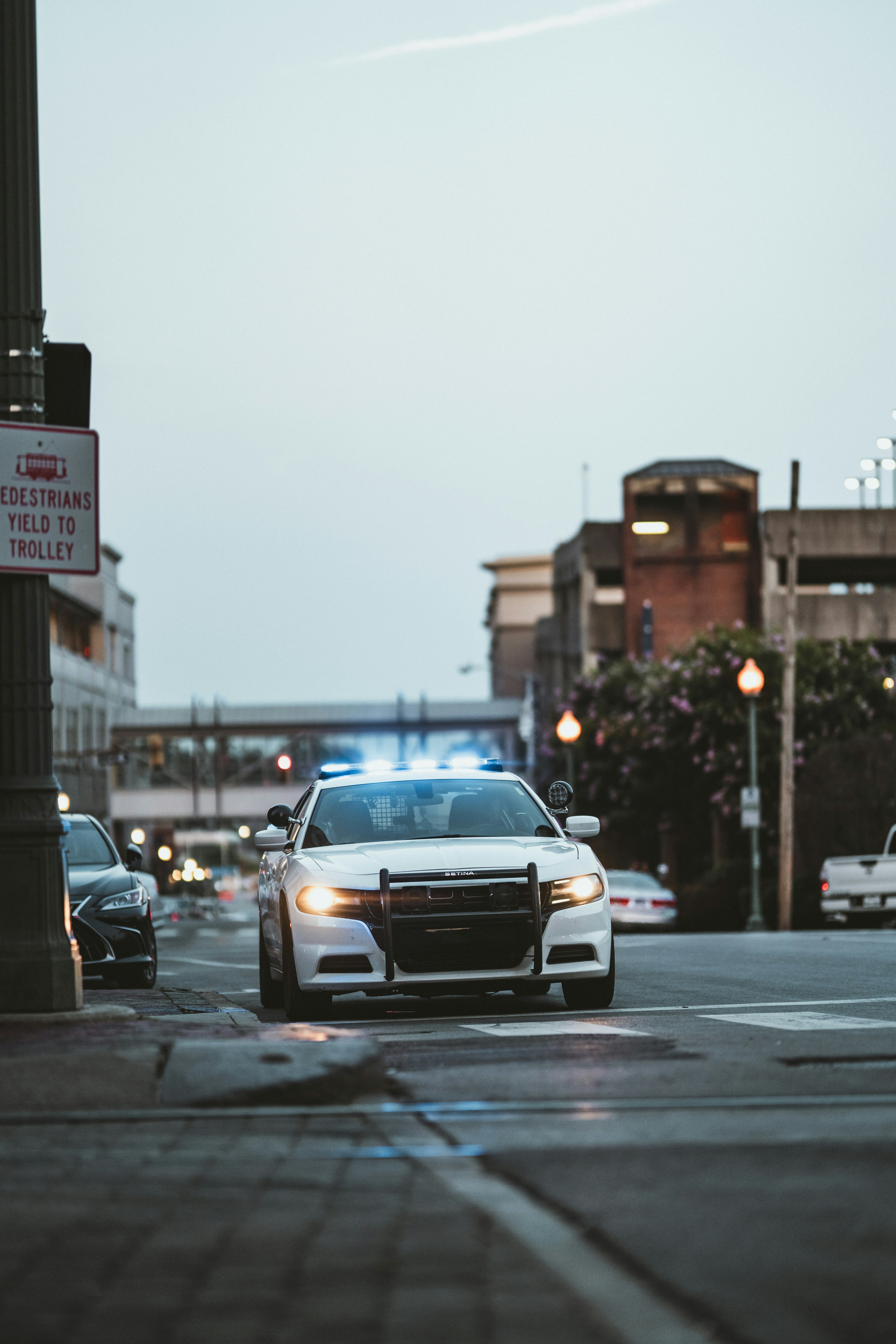 Photo by colemangloverphotography