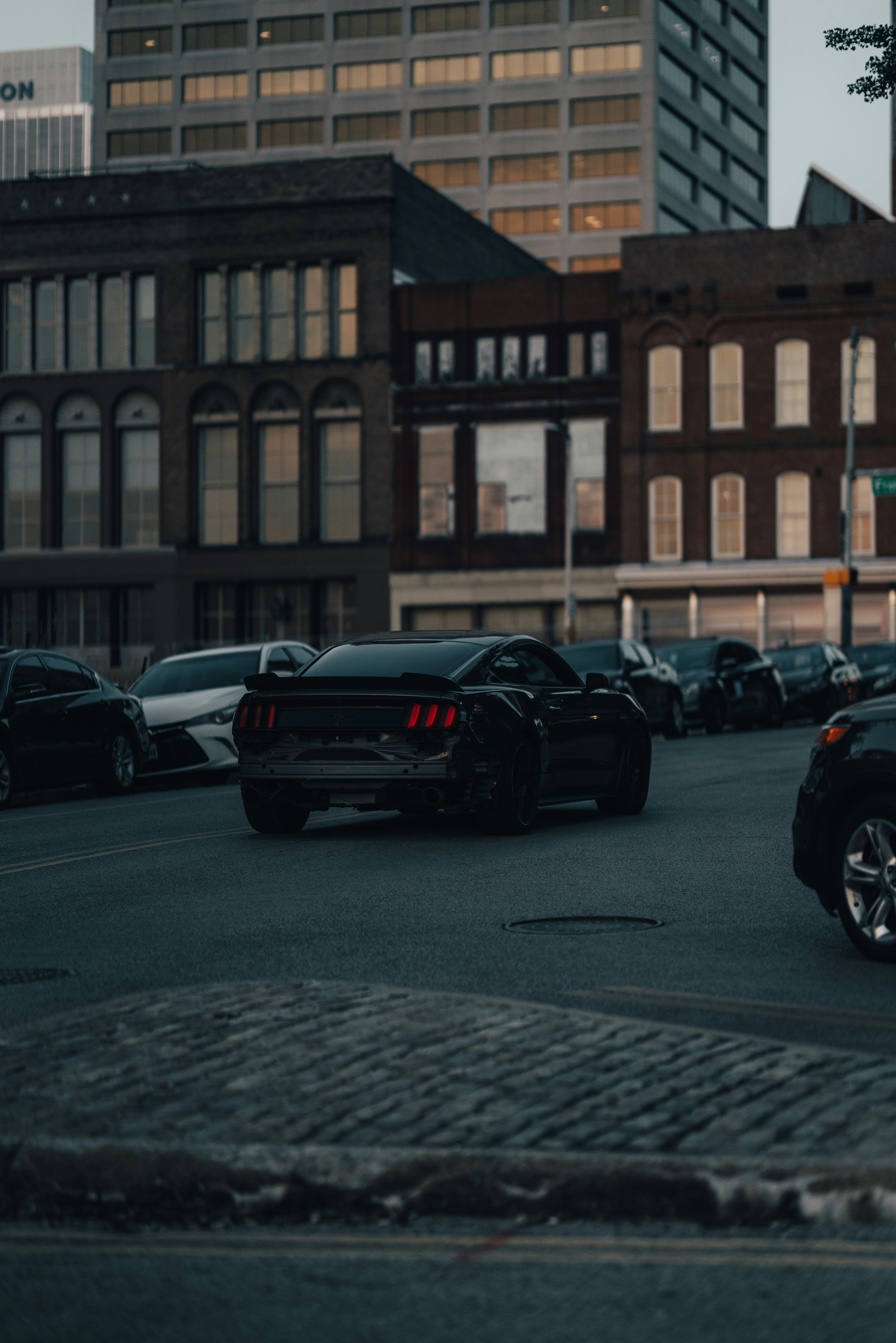 Photo by colemangloverphotography