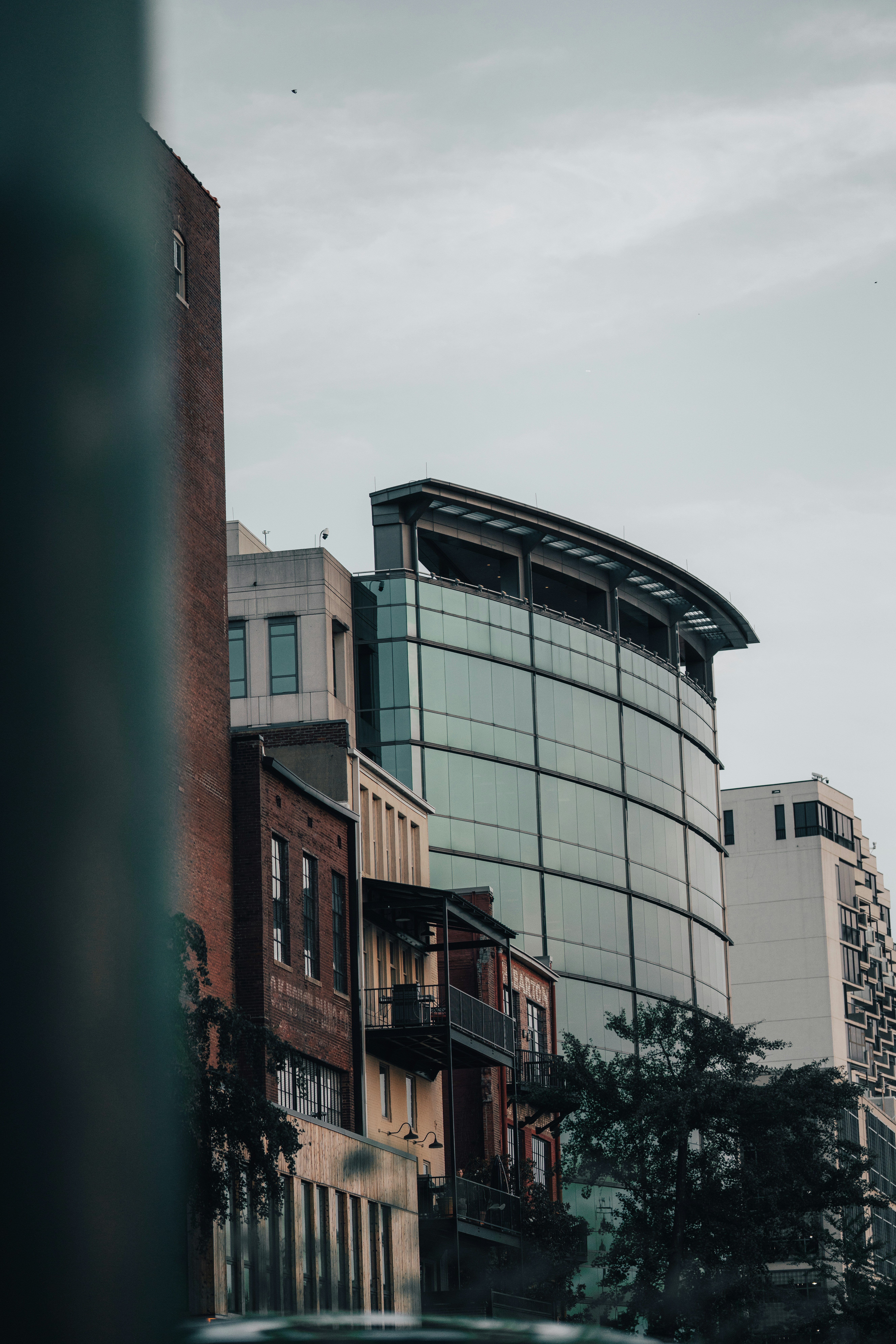 Photo by colemangloverphotography