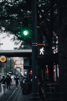 A green traffic light and a pedestrian signal indicating it's safe to walk are prominently displayed. The surrounding area features a busy urban street with blurred figures of people walking, trees lining the avenue, and some visible storefronts. The ambient light suggests either early morning or late afternoon.