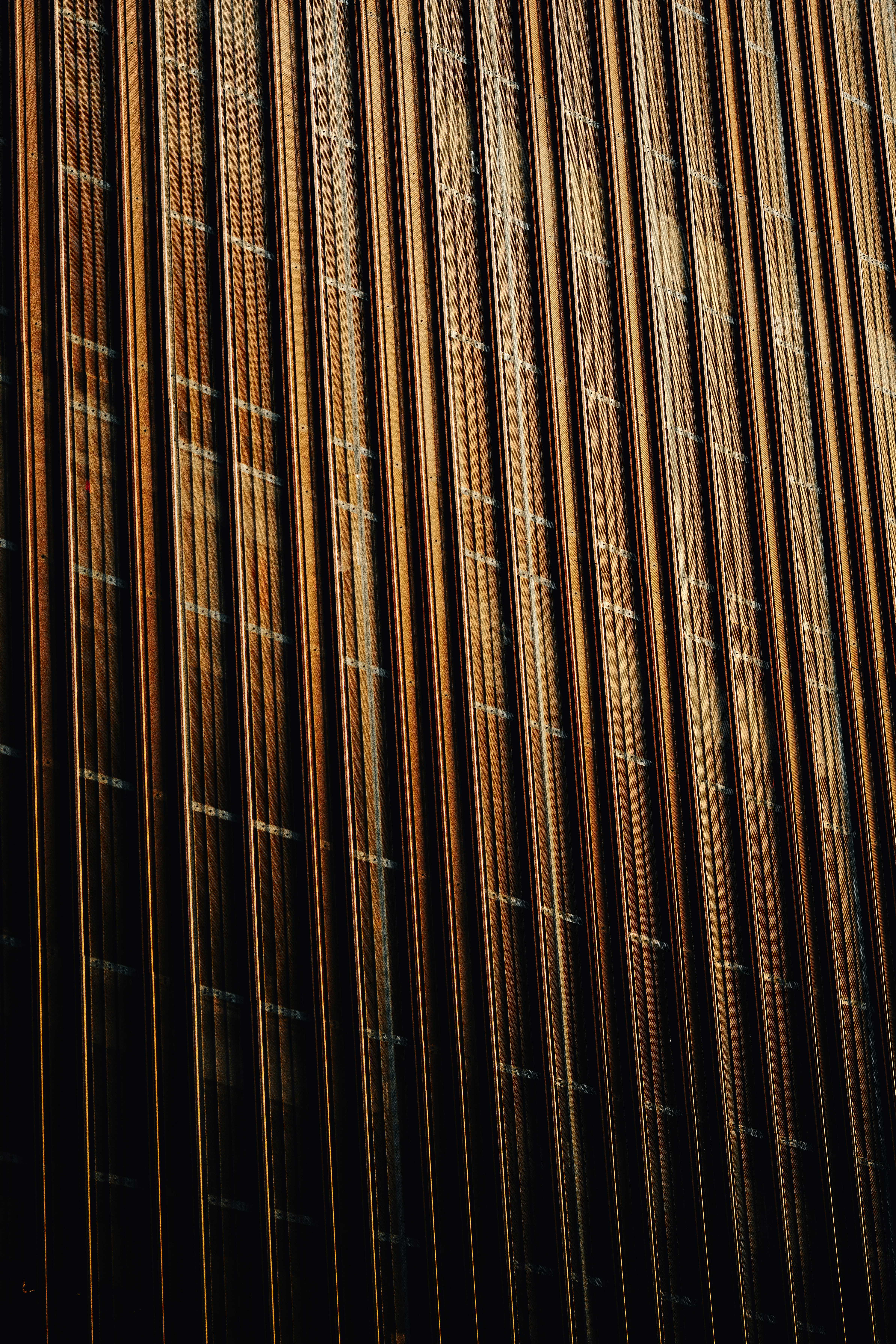 Photo by colemangloverphotography