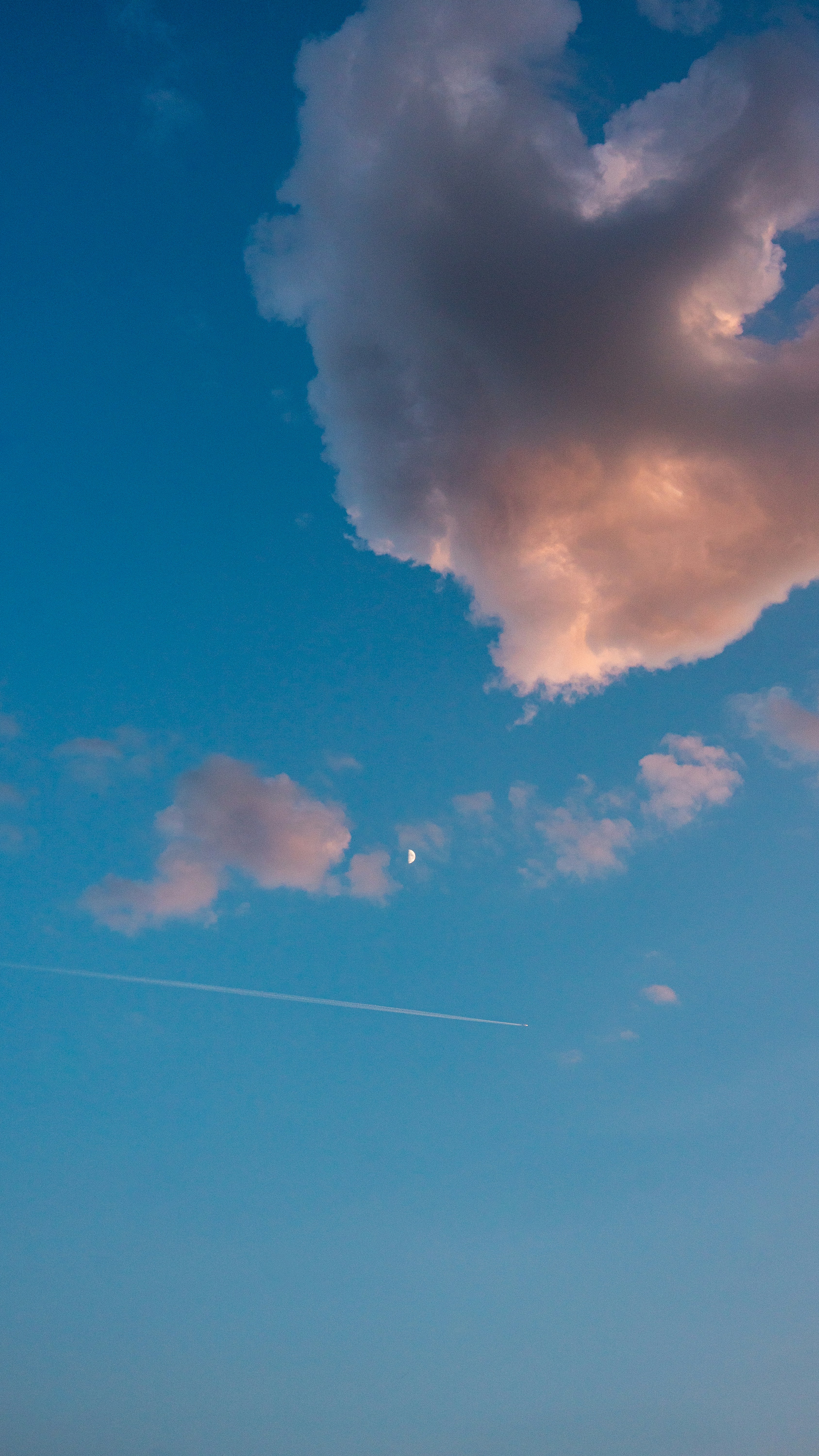 a plane flying in the sky with a cloud in the background