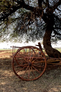 Custom Wooden Sweet Cart