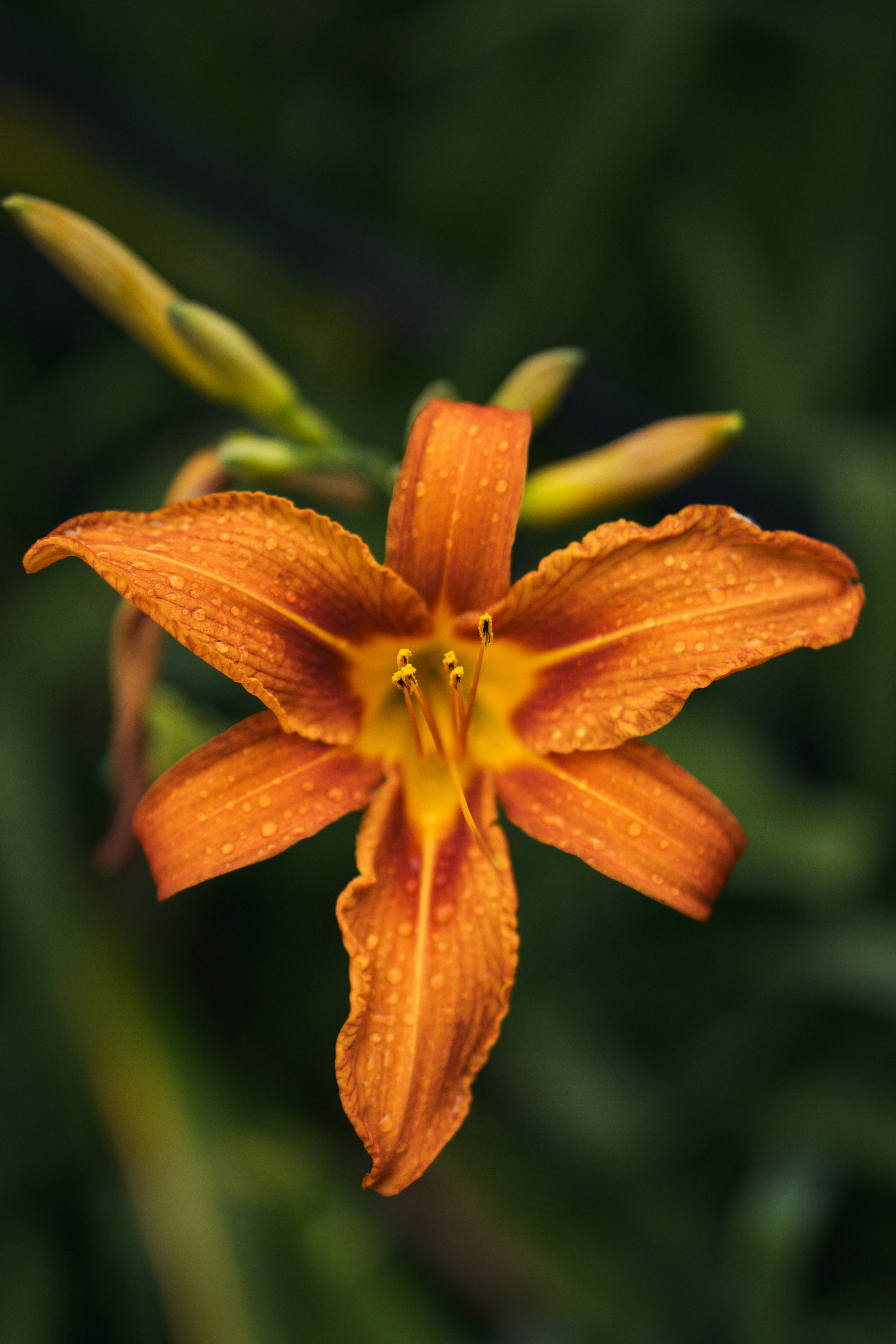 Photo by angrygrandmama