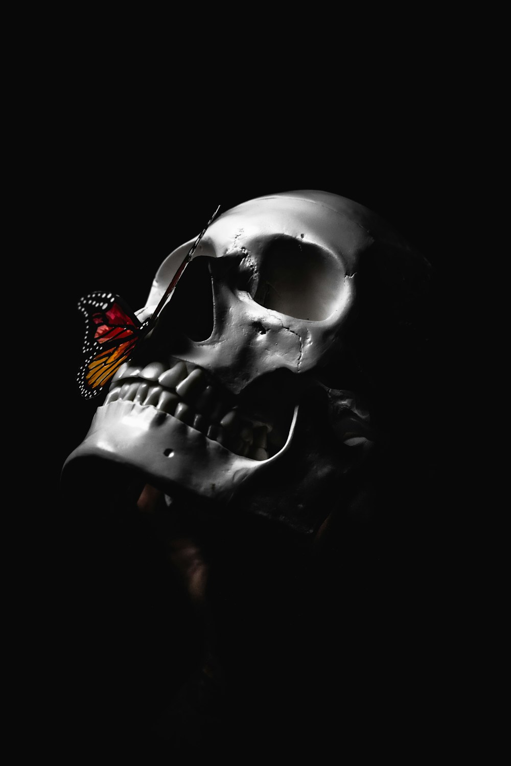 a hand holding a skull with a butterfly on it