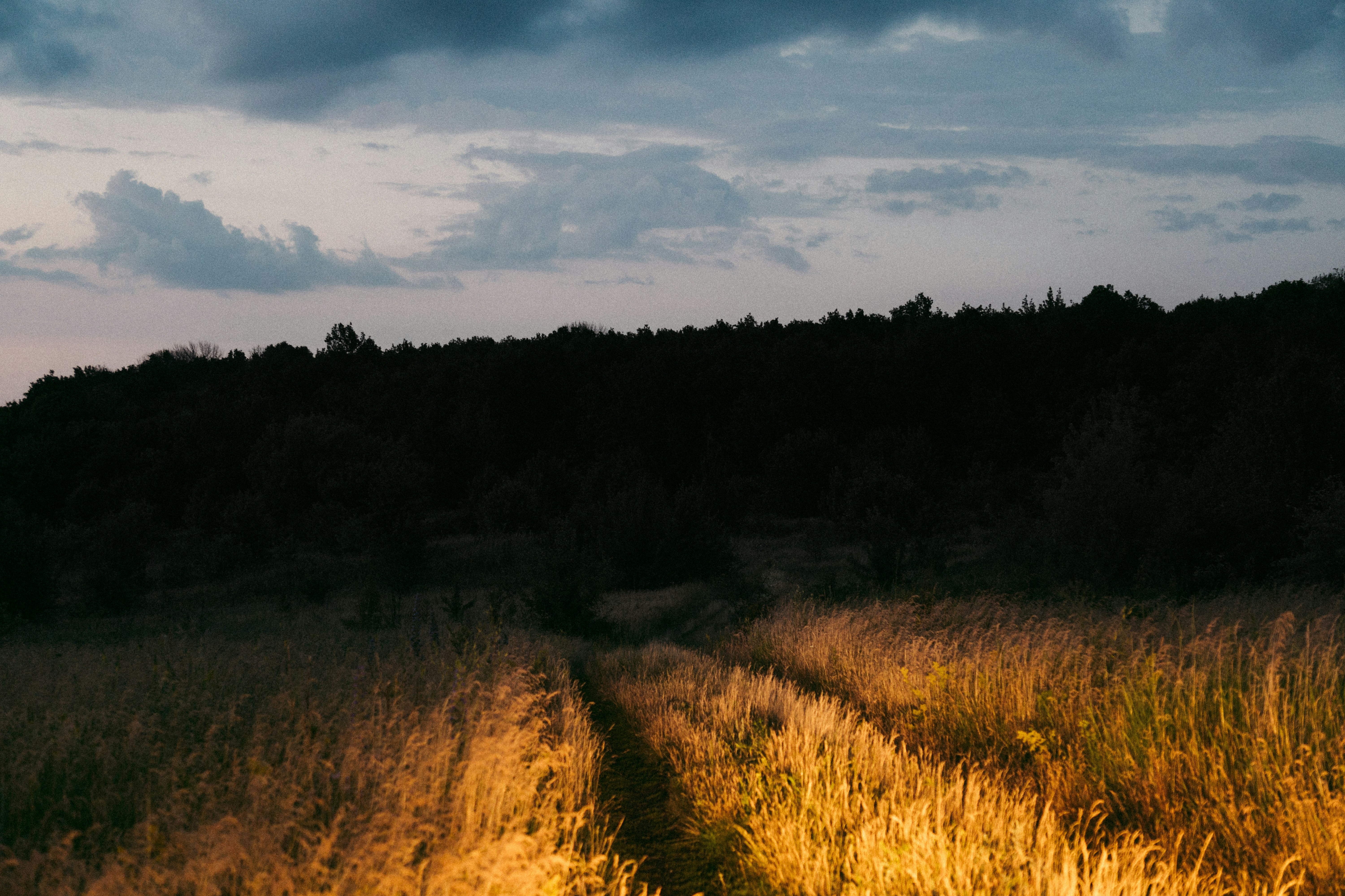 Photo by angrygrandmama