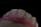 A close-up view of a set of artificial teeth, likely a dental model or prosthetic, with detailed textures visible on the tooth surfaces. The background is completely black, highlighting the white and pink hues of the model.