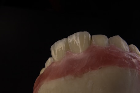 A close-up view of a dental model showing the upper front teeth and gum area, with a dark background emphasizing the detail and texture of the artificial teeth and gums.
