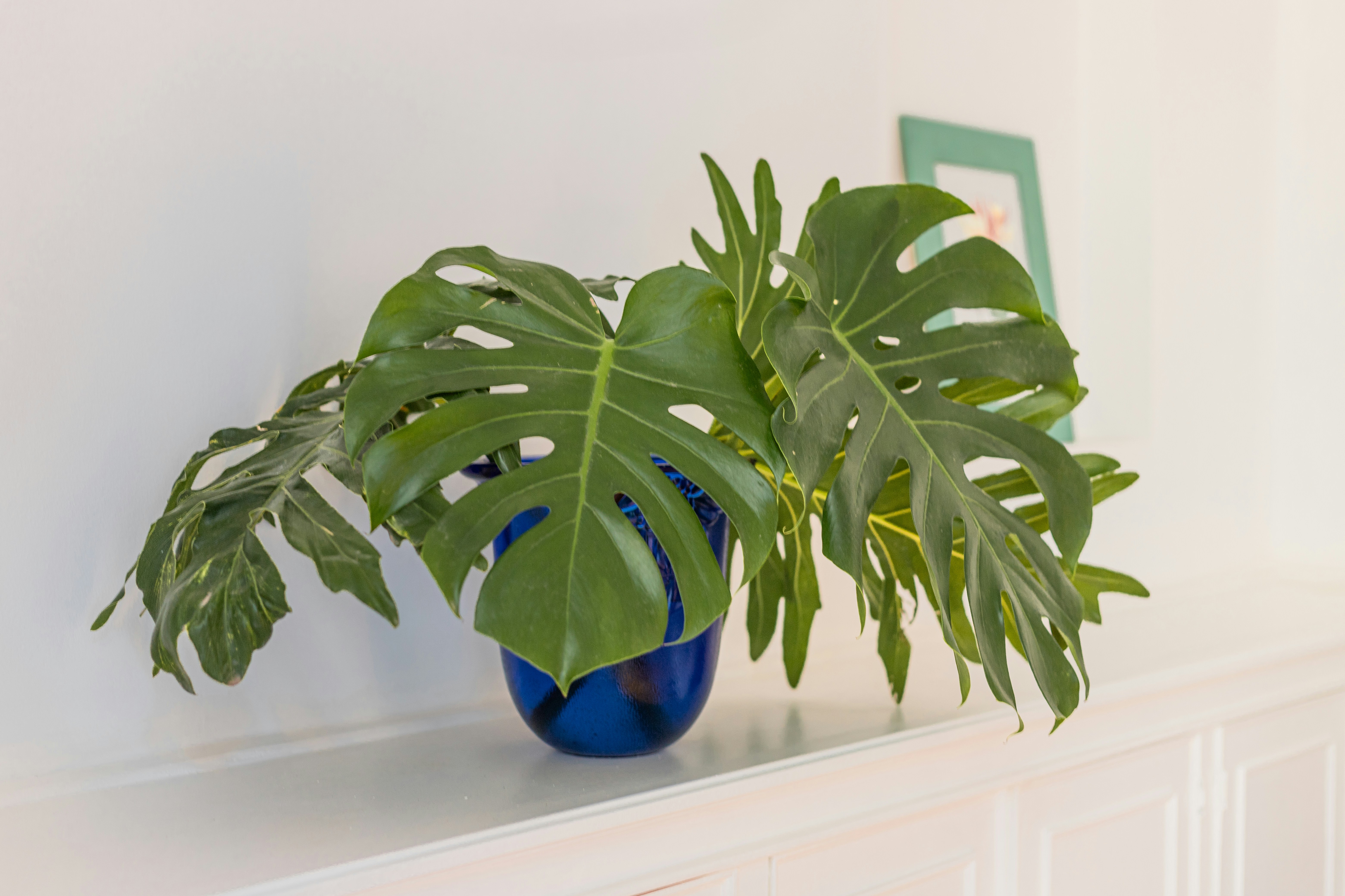 a plant in a blue vase sitting on a mantle
