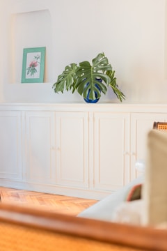A peaceful interior space featuring a white built-in cabinet against a clean wall. Atop the cabinet sits a vibrant green monstera plant in a blue vase. A framed botanical artwork with a green border is subtly displayed in a recessed shelf. The warm wooden floor adds to the cozy atmosphere.