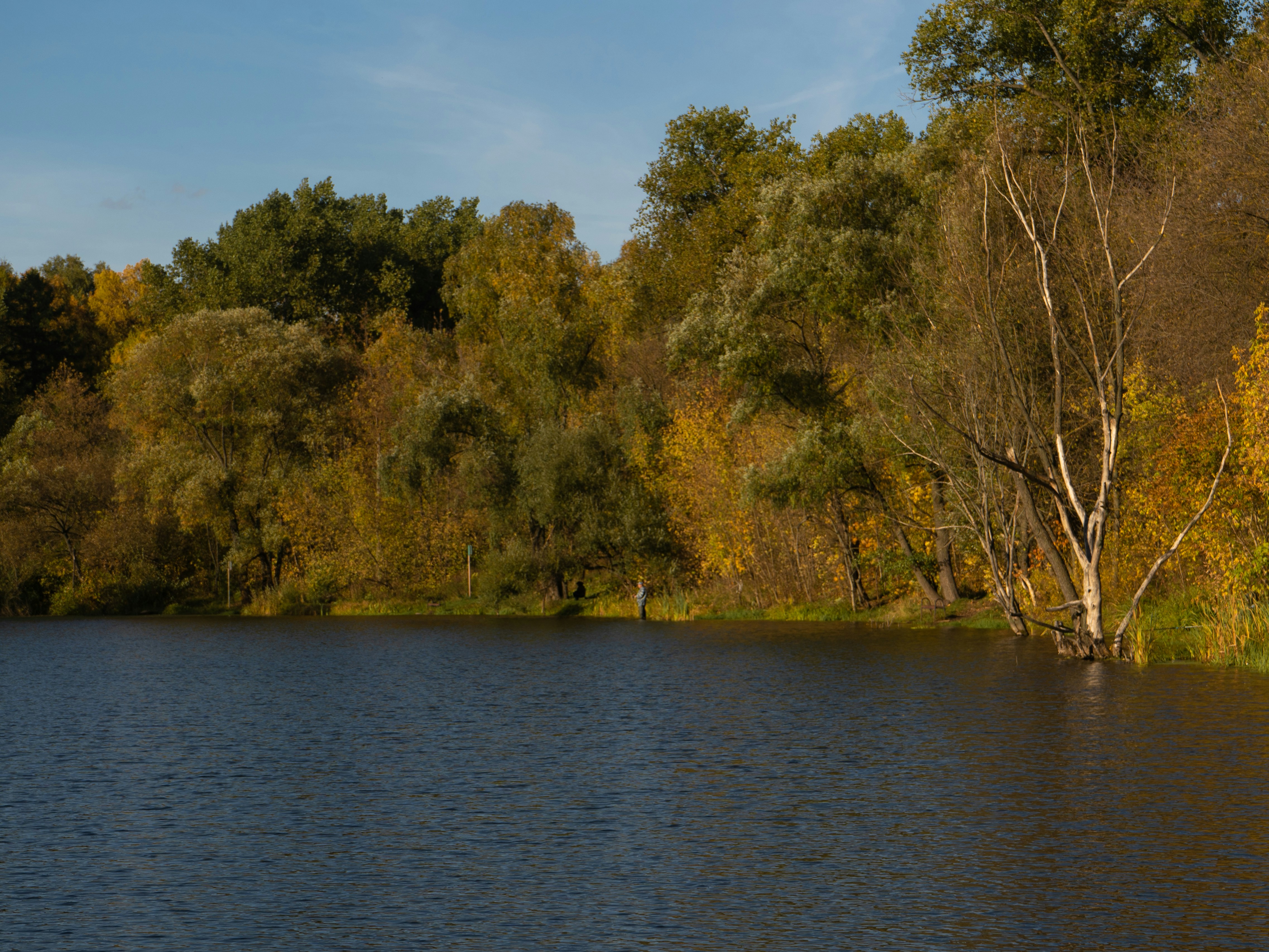 Photo by photo_kushnir