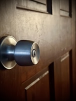 Close-up of a freshly polished silver doorknob shining under natural light.