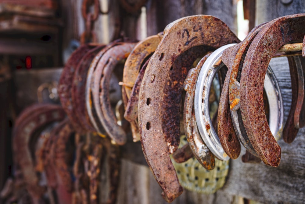 a bunch of rusty horseshoes hanging on a wooden wall