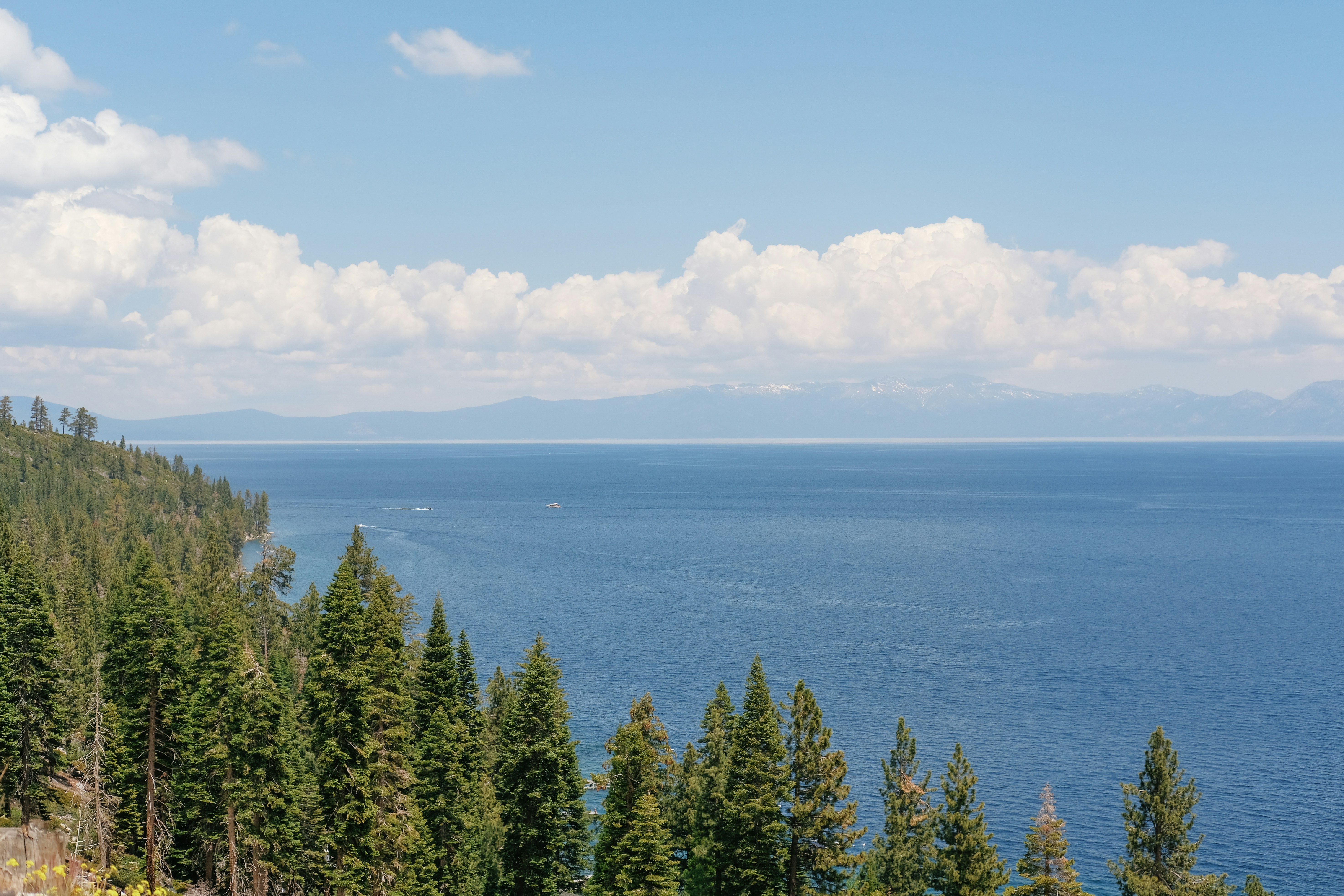 Photo by 0x746f6d6d796a746c