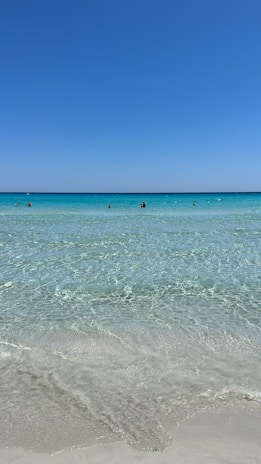 A family enjoying a calm sea view with clear blue waters around Alcudia.