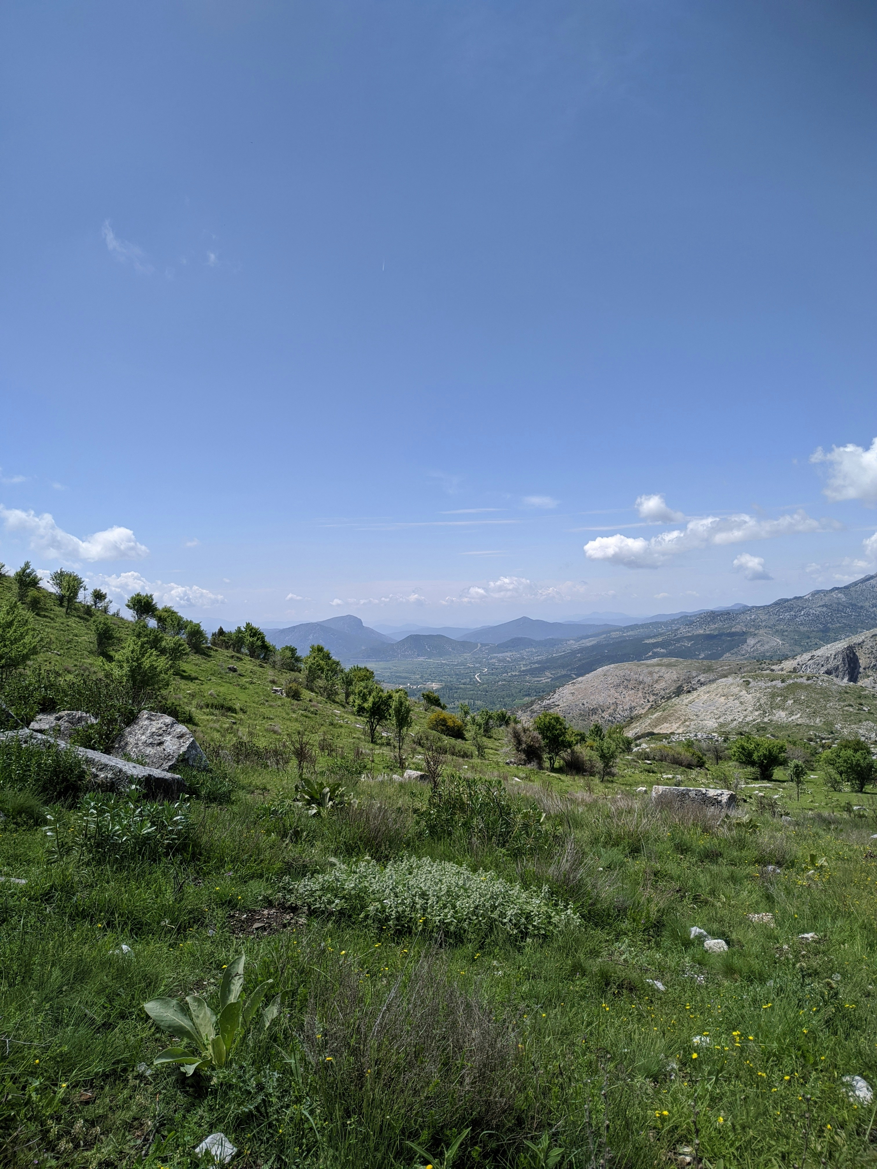 Photo by emirsaydin