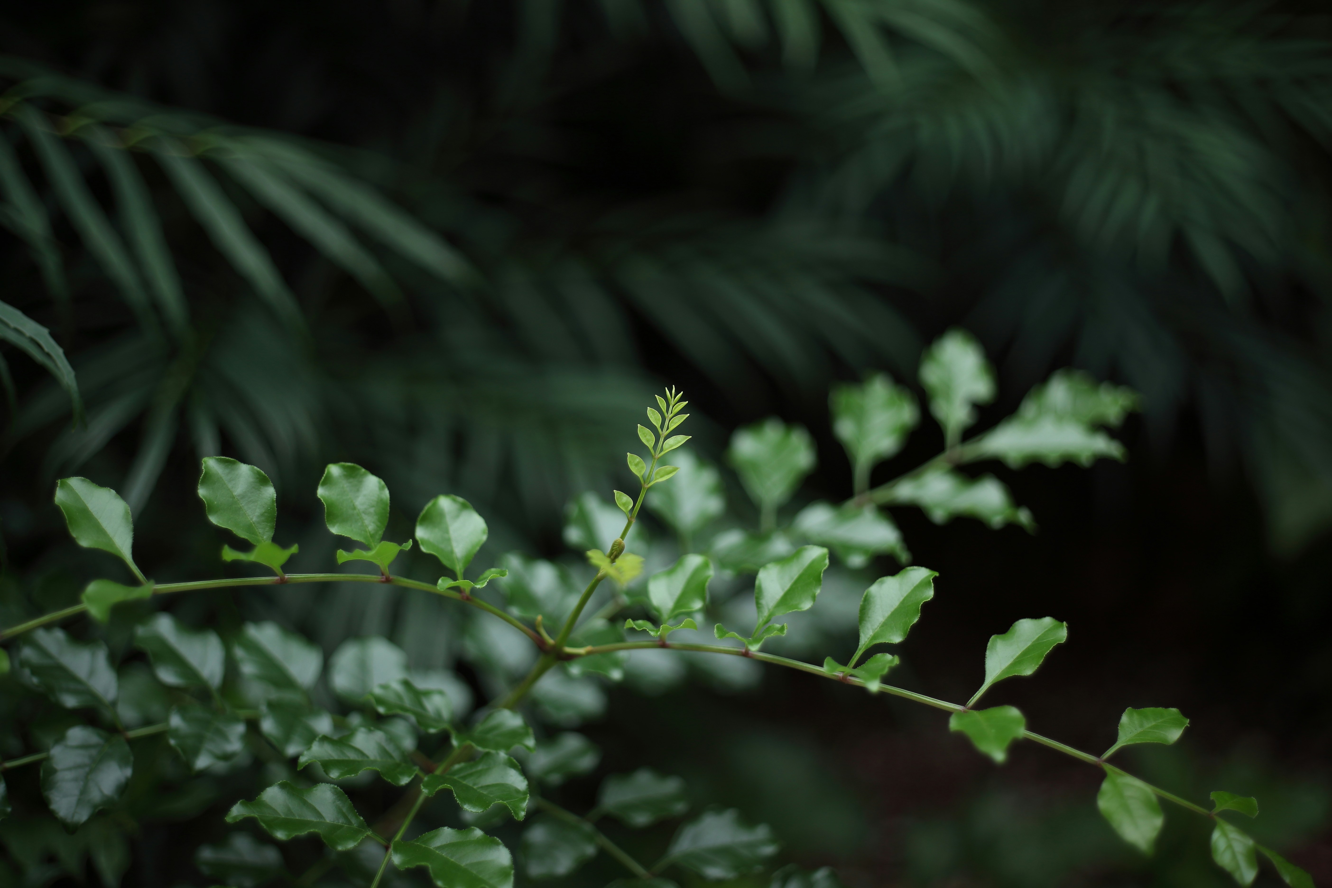 Photo by takatsuchida