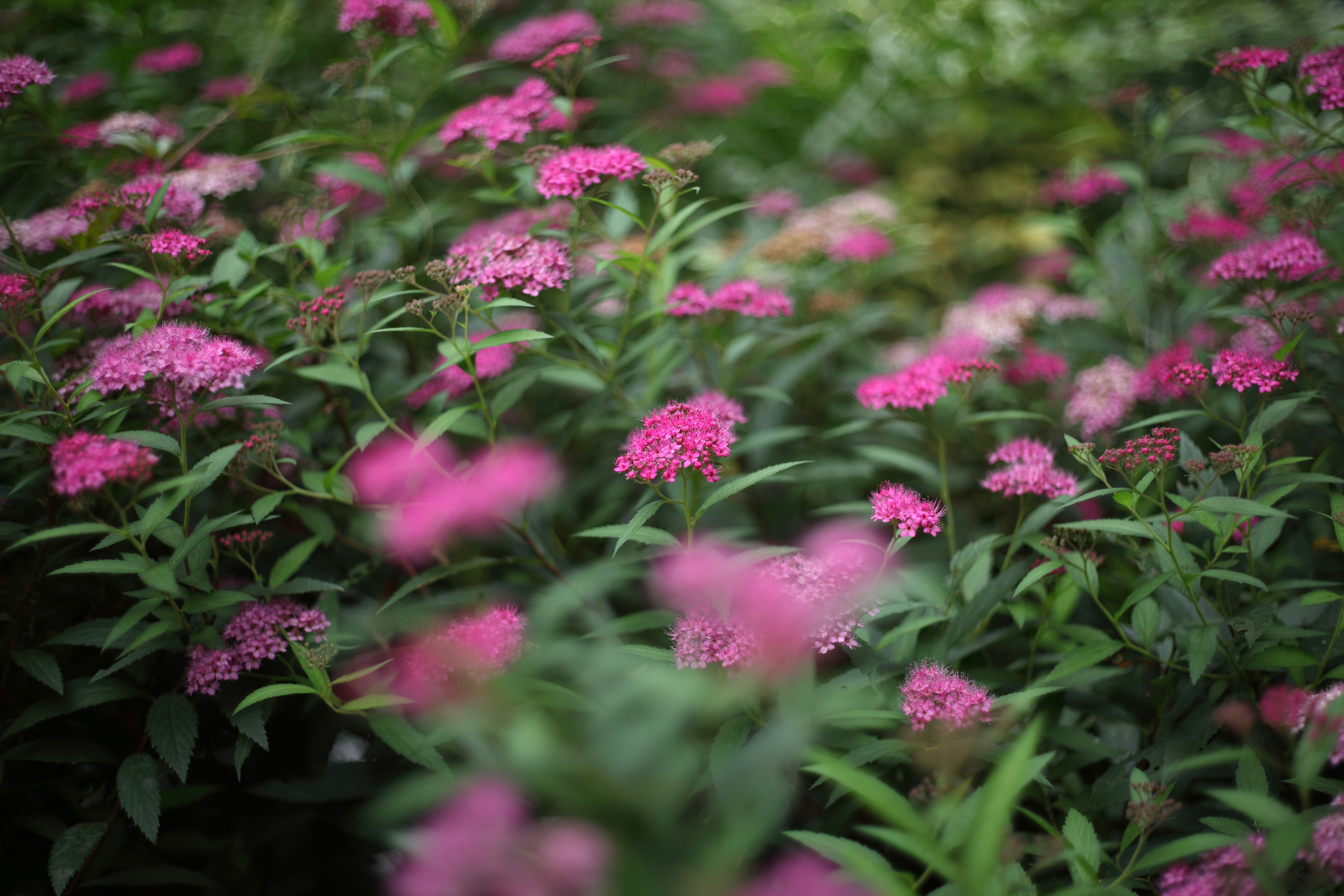 Photo by takatsuchida