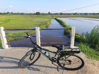 Tour de vélo dans le delta du Mékong. Arrêt au millieu des rizières
