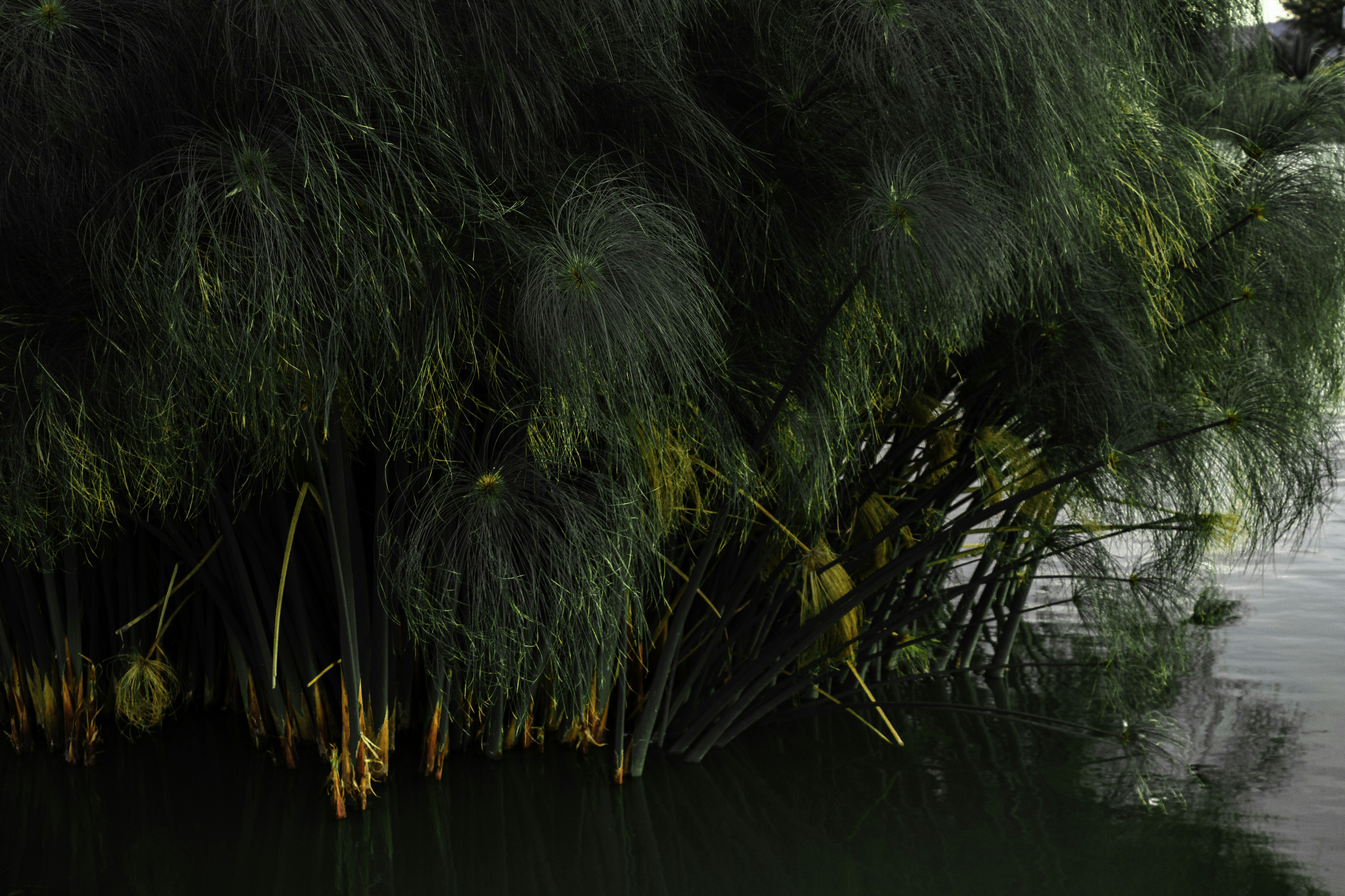 Photo by thalittlemarc