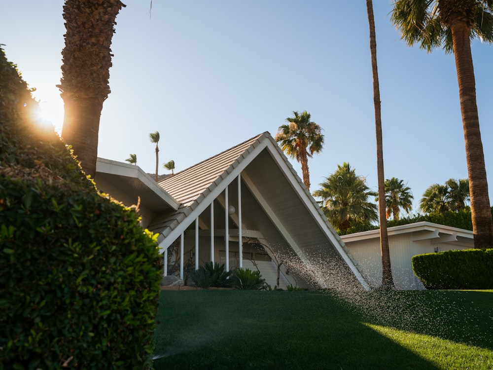 a house with palm trees in the background