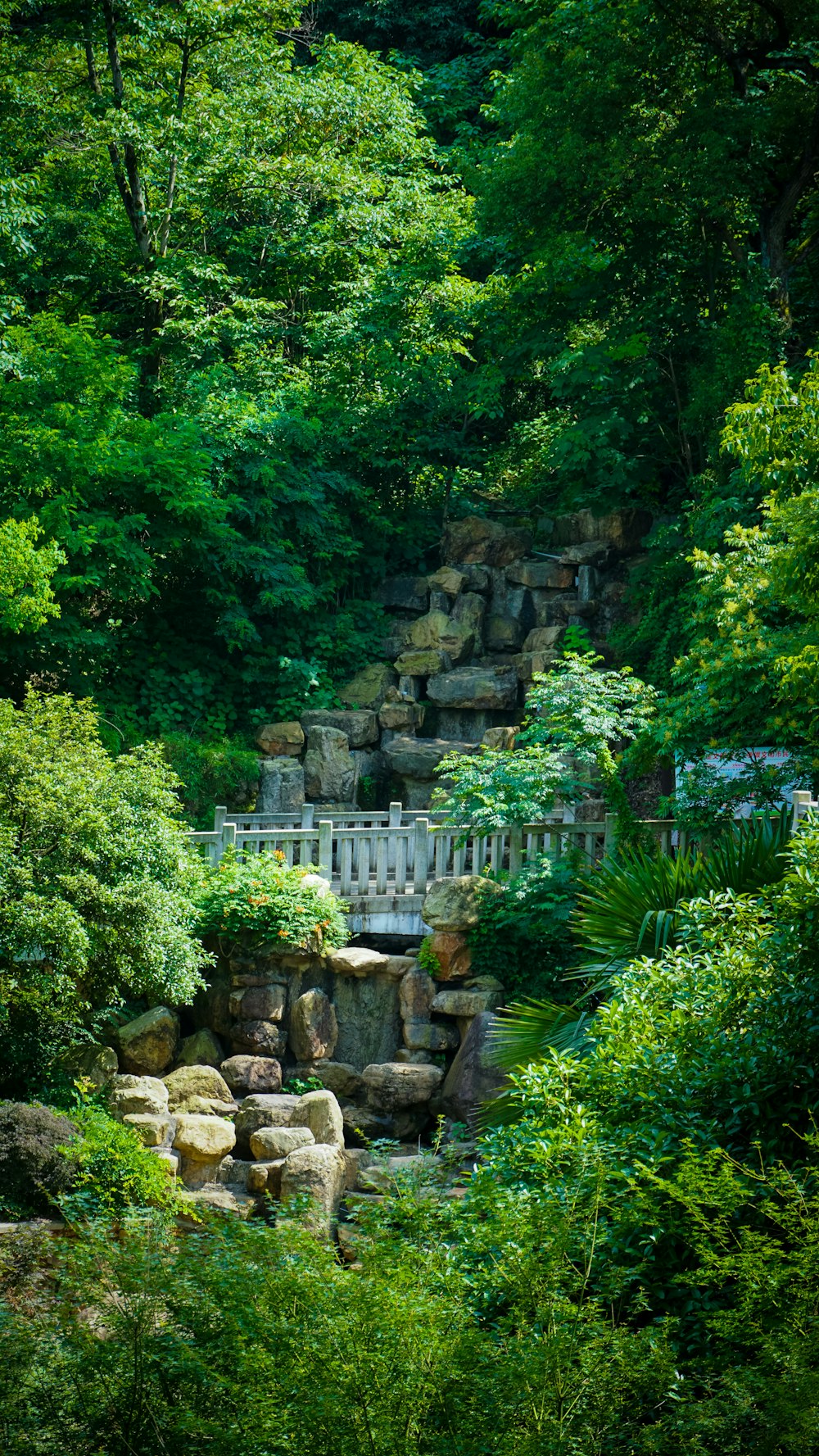 a bridge in the middle of a lush green forest